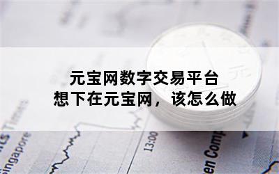 元宝网数字交易平台 想下在元宝网，该怎么做