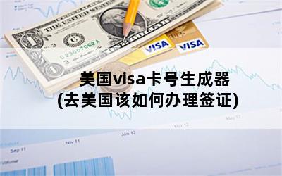 visa(ȥΰǩ֤)