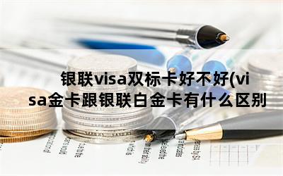 visa˫꿨ò(visa𿨸׽ʲô)