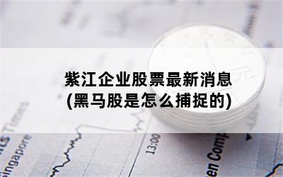 紫江企业股票最新消息(黑马股是怎么捕捉的)