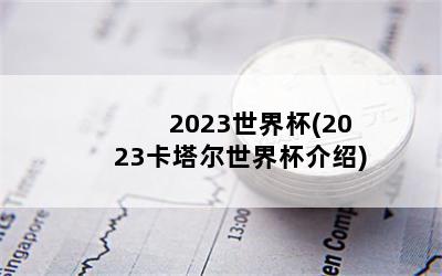 2023籭(2023籭)