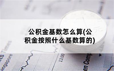 公积金基数怎么算(公积金按照什么基数算的)