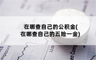 在哪查自己的公积金(在哪查自己的五险一金)