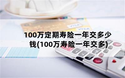 100万定期寿险一年交多少钱(100万寿险一年交多)