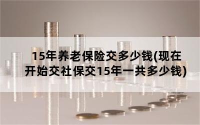 15ϱսǮ(ڿʼ籣15һǮ)