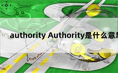 authority Authorityʲô˼