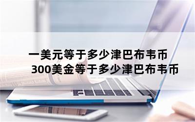 一美元等于多少津巴布韦币 300美金等于多少津巴布韦币