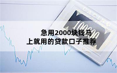 2000ǮϾõĴƼ